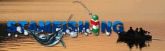 STAMFISHING EM BREVE PARA TODO O BRASIL
